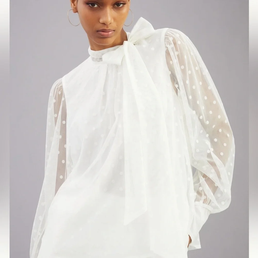 NWT Anthro Maeve Tulle Tie-Neck Blouse - Picture 3 of 8